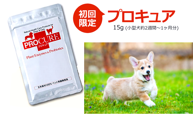 拡散する 勇者 単語 プロキュア 猫 Tanikawa Ann Com